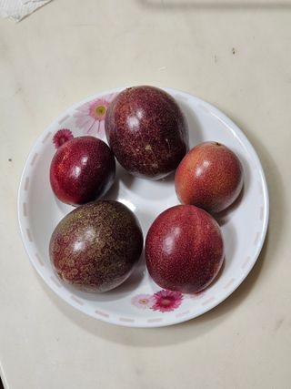 종일님의 자유주제 · 자유게시판 작성글 사진