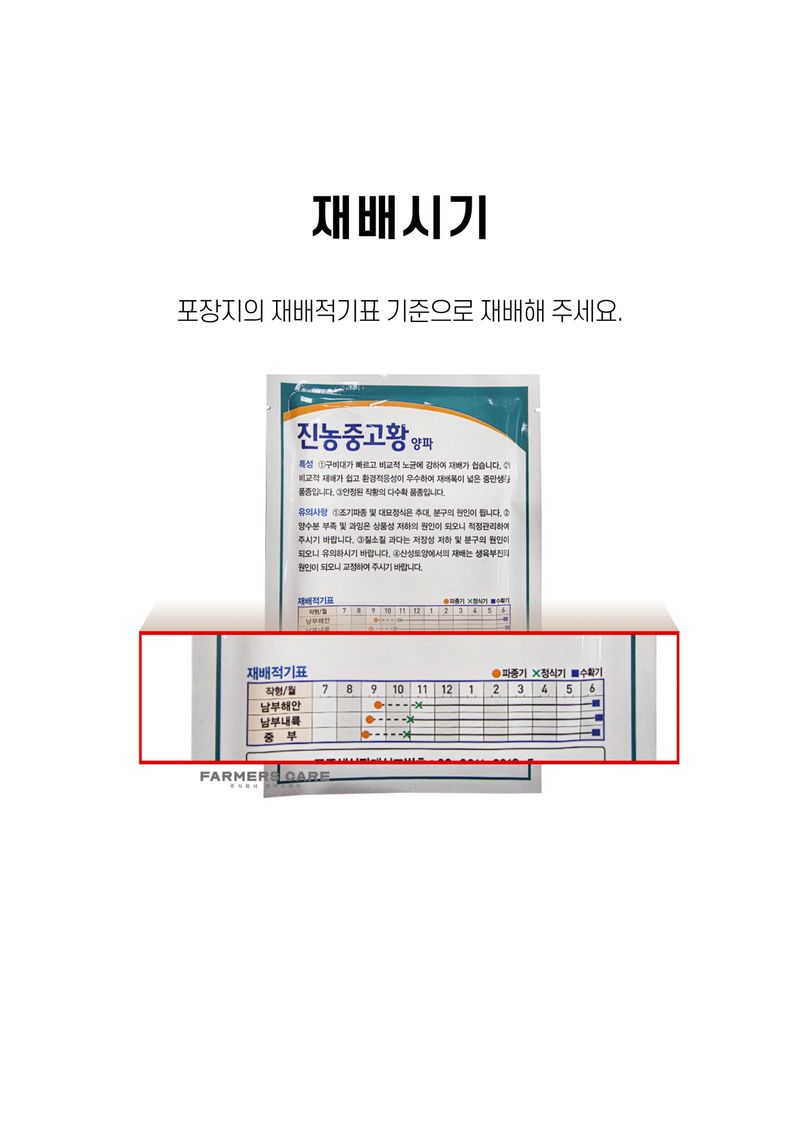 세종농자재센터님의 장터 판매 상품 [진농중고황 양파 씨앗 3,000립 양파 모종 씨앗] 첨부 사진