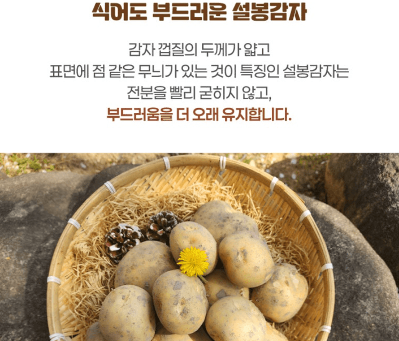 메종루엘님의 장터 판매 상품 [[국내산] 햇 설봉감자] 첨부 사진