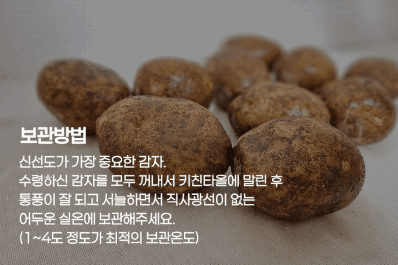 메종루엘님의 장터 판매 상품 [[고품위] 햇 수미감자] 첨부 사진