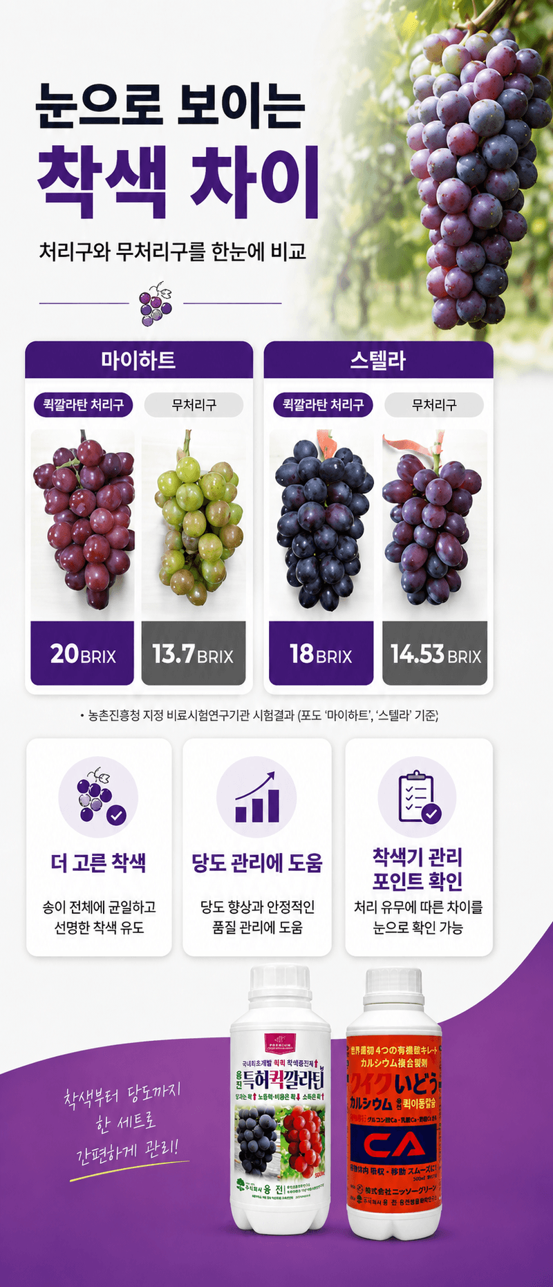 농업마켓365님의 장터 판매 상품 [포도 착색 칼슘관리 500ML SET 착색관리 칼슘해결 포도전용영양제 포도착색제] 첨부 사진