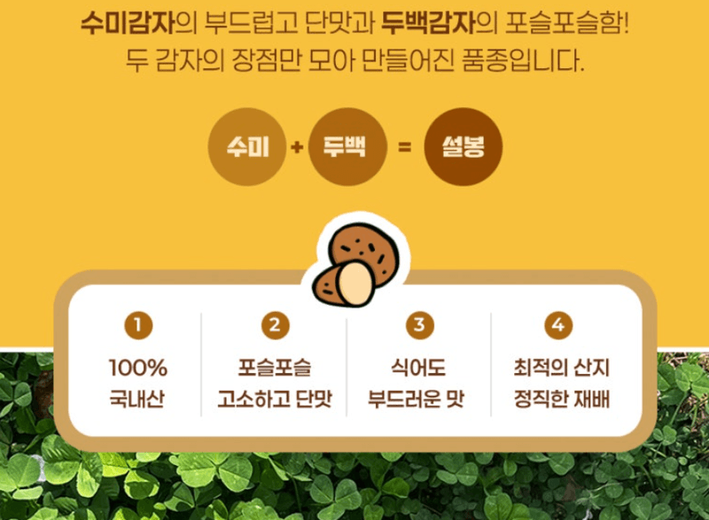 메종루엘님의 장터 판매 상품 [[국내산] 햇 설봉감자] 첨부 사진