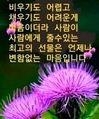 인생은 소풍처럼~님의 자유주제 · 자유게시판 작성글 사진