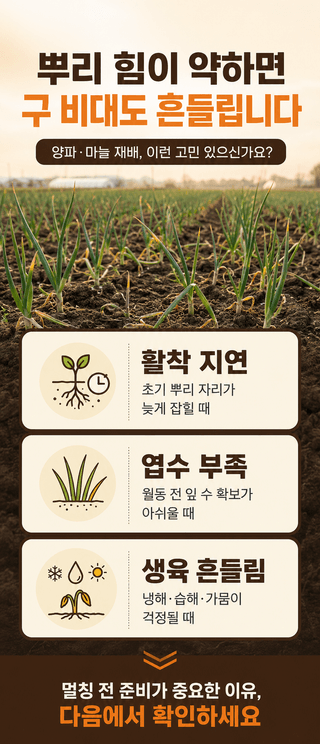 농업마켓365님의 작성글 사진