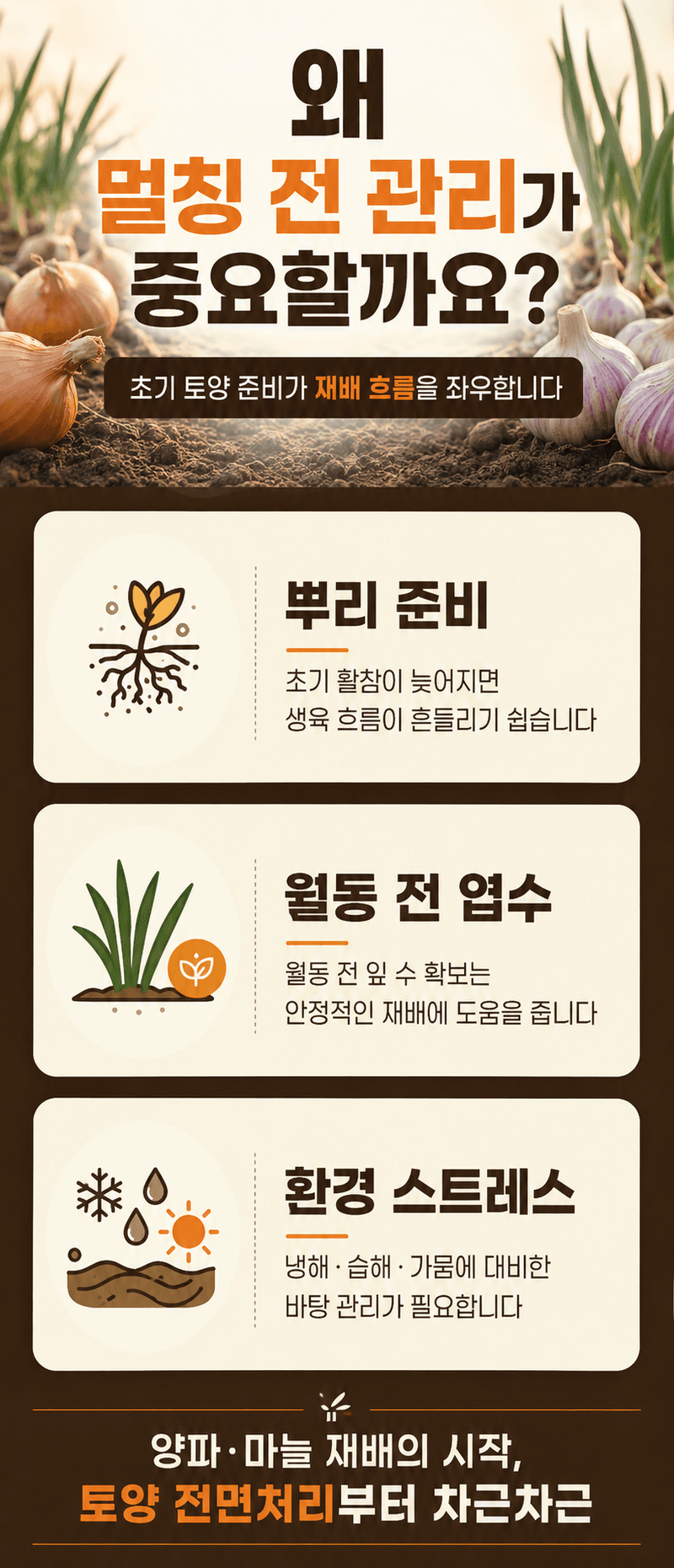 농업마켓365님의 장터 판매 상품 [양파도령마늘도령 10KG 양파 마늘 뿌리활착 구비대 밑거름 웃거름] 첨부 사진