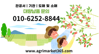 농업마켓365님의 작성글 사진