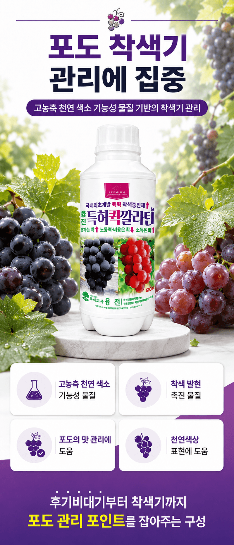 농업마켓365님의 장터 판매 상품 [포도 착색 칼슘관리 500ML SET 착색관리 칼슘해결 포도전용영양제 포도착색제] 첨부 사진
