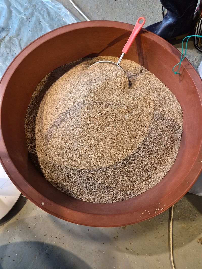 장터 상품 [참깨 6kg] 썸네일