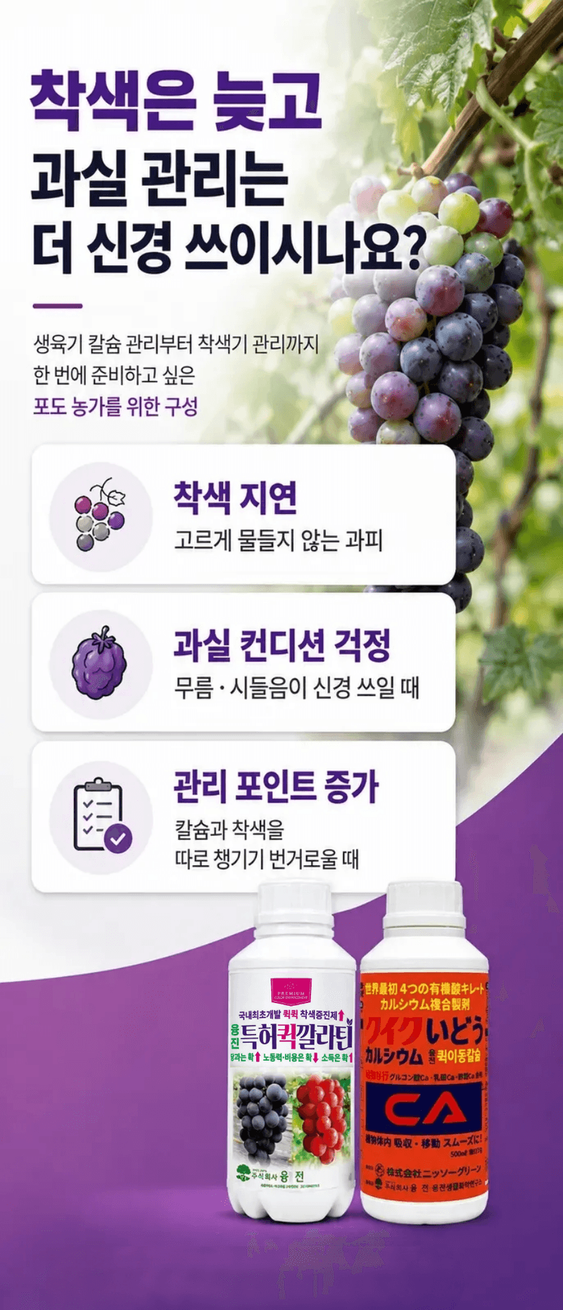 농업마켓365님의 장터 판매 상품 [포도 착색 칼슘관리 500ML SET 착색관리 칼슘해결 포도전용영양제 포도착색제] 첨부 사진