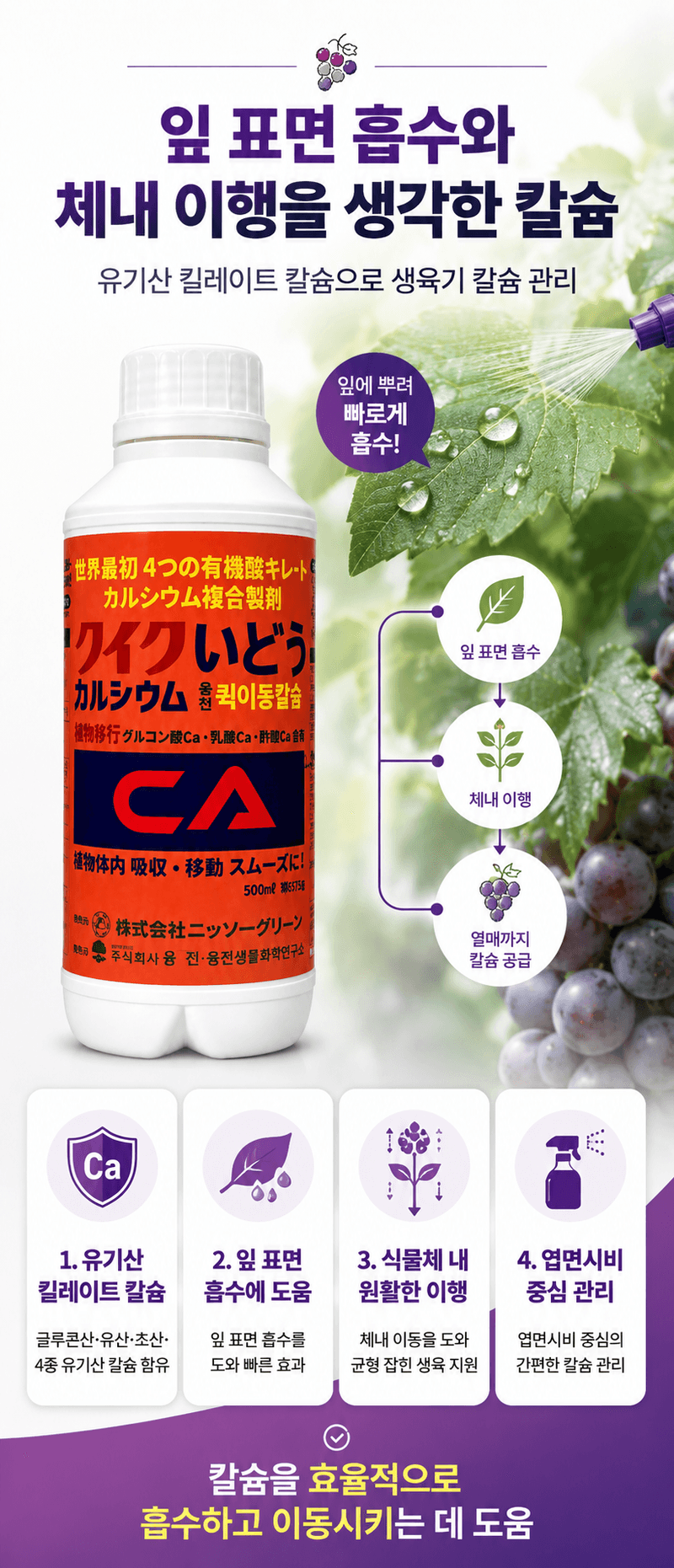 농업마켓365님의 장터 판매 상품 [포도 착색 칼슘관리 500ML SET 착색관리 칼슘해결 포도전용영양제 포도착색제] 첨부 사진