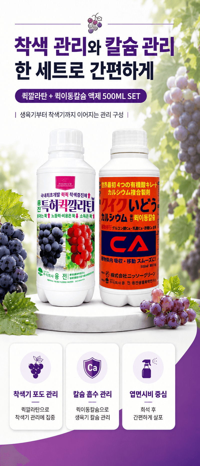 농업마켓365님의 장터 판매 상품 [포도 착색 칼슘관리 500ML SET 착색관리 칼슘해결 포도전용영양제 포도착색제] 첨부 사진