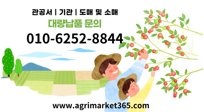 농업마켓365님의 장터 판매 상품 [포도 착색 칼슘관리 500ML SET 착색관리 칼슘해결 포도전용영양제 포도착색제] 첨부 사진