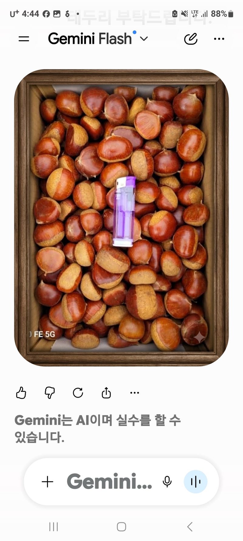 정찬영님의 장터 판매 상품 [청주 가덕면 산밤 1Kg] 첨부 사진