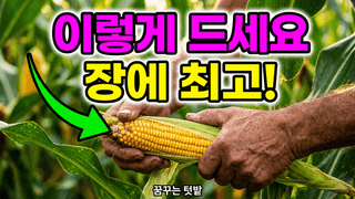 꿈꾸는텃밭님의 자유주제 · 자유게시판 작성글 사진