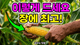 홈 갤러리 이미지
