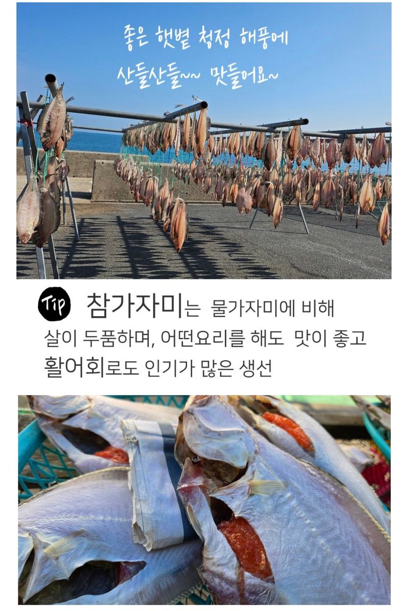 농수사님의 장터 판매 상품 [자연산 참가자미 왕특대 특대 세트] 첨부 사진