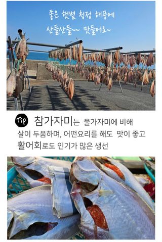 농수사님의 작성글 사진