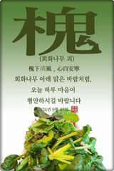 팜모닝 자유주제·자유게시판 게시글 이미지