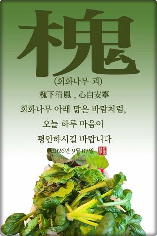 정진해님의 자유주제 · 자유게시판 작성글 사진
