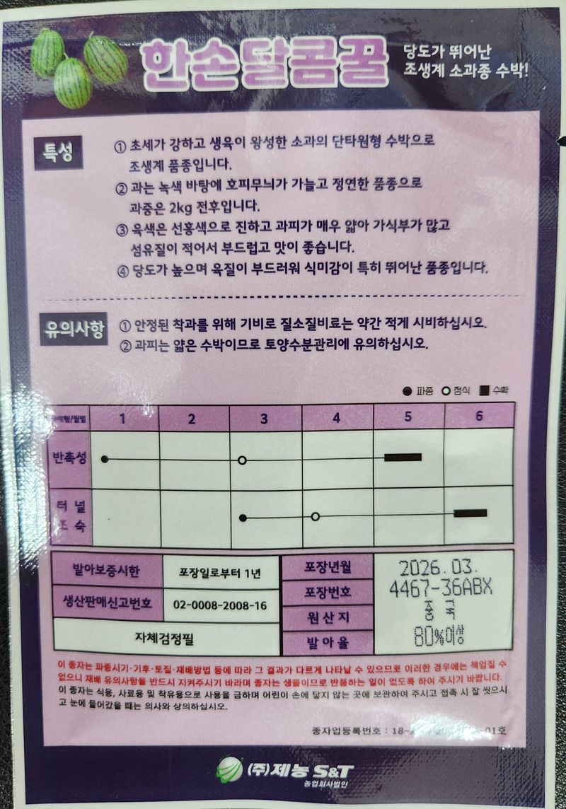 안산제일농약사님의 장터 판매 상품 [한손달콤꿀수박 100립 남은수량특가] 첨부 사진