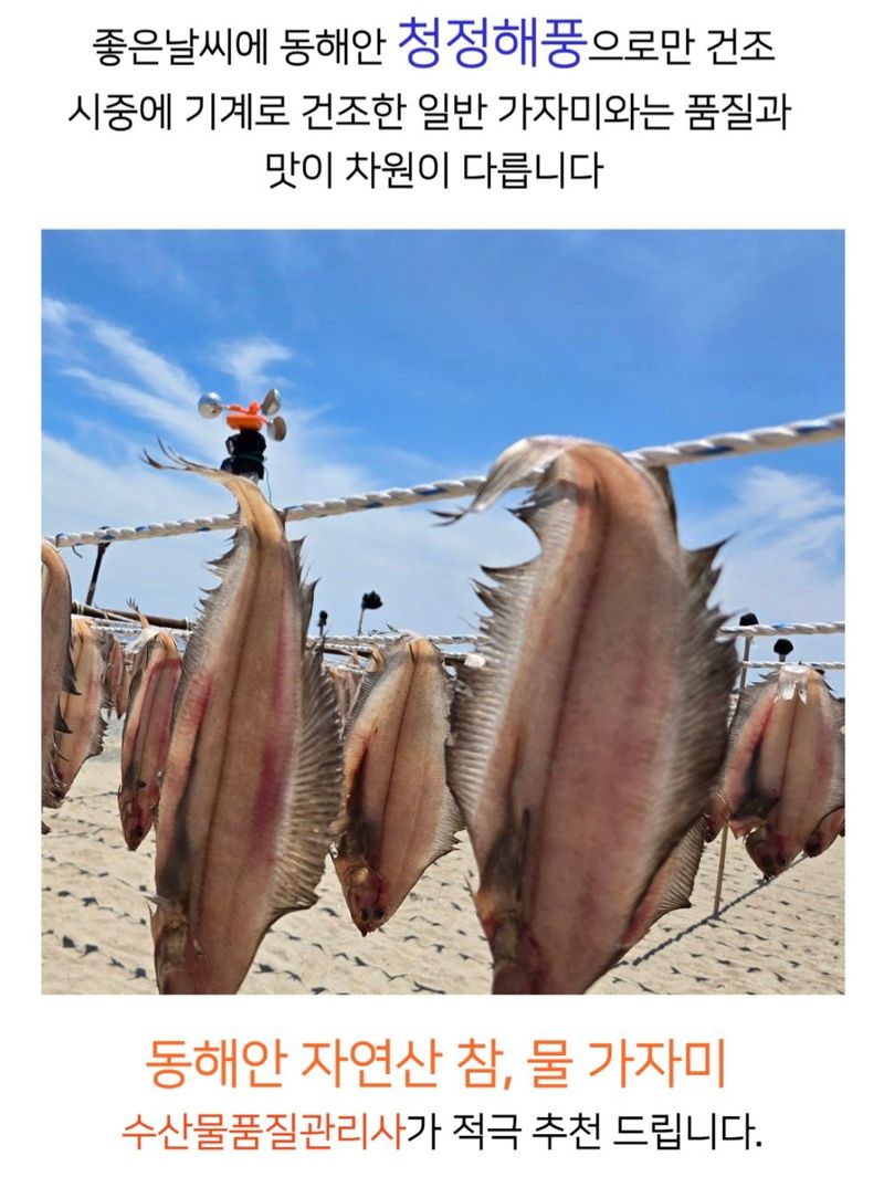 농수사님의 장터 판매 상품 [자연산 참가자미 왕특대 특대 세트] 첨부 사진