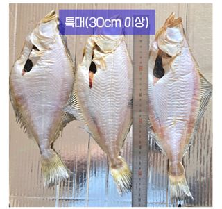 농수사님의 작성글 사진