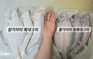 농수사님의 작성글 사진
