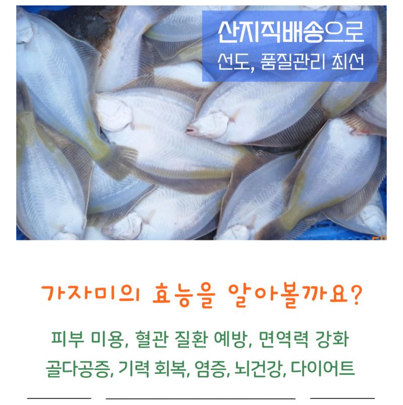 농수사님의 장터 판매 상품 [자연산 참가자미 왕특대 특대 세트] 첨부 사진