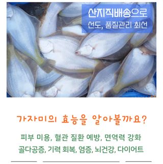 농수사님의 작성글 사진