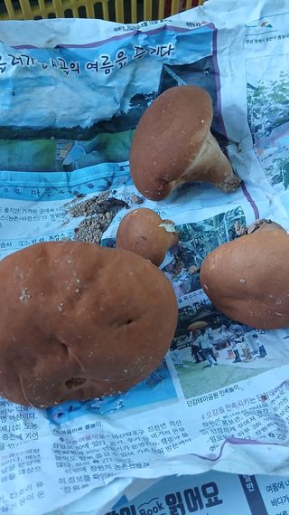 백부님의 자유주제 · 자유게시판 작성글 사진