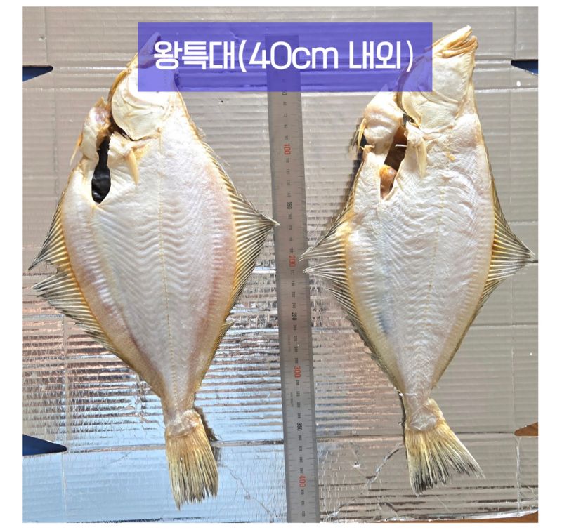 농수사님의 장터 판매 상품 [자연산 참가자미 왕특대 특대 세트] 첨부 사진