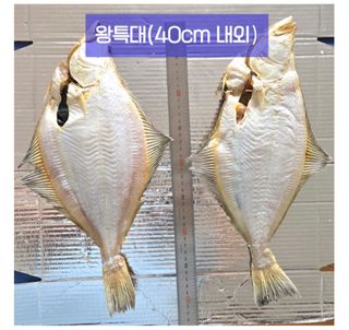 농수사님의 작성글 사진