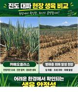 팜모닝 자유주제·자유게시판 게시글 이미지