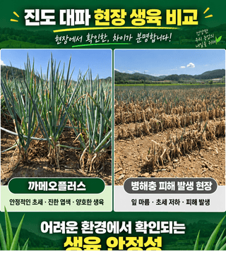 김용준님의 자유주제 · 자유게시판 작성글 사진