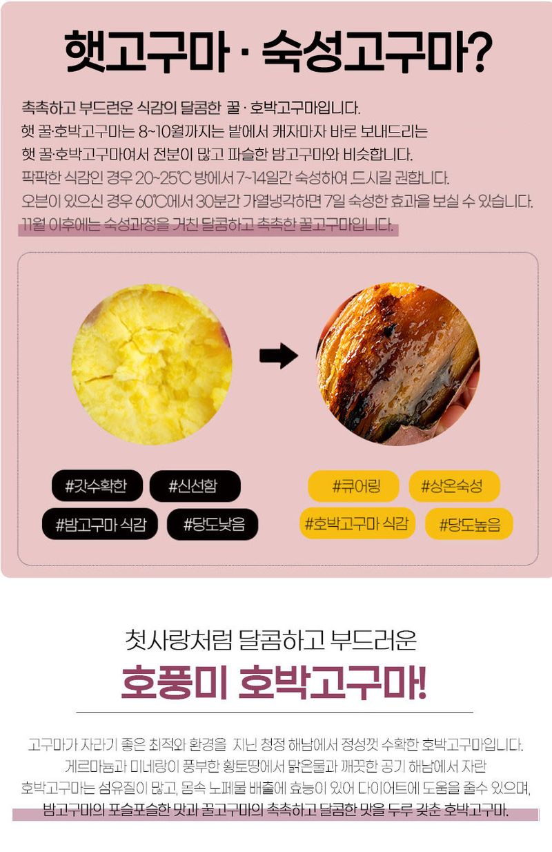초록미소농장님의 장터 판매 상품 [초록미소 해남 GAP 세척 황토 호풍미 호박고구마 3kg 5kg 10kg] 첨부 사진