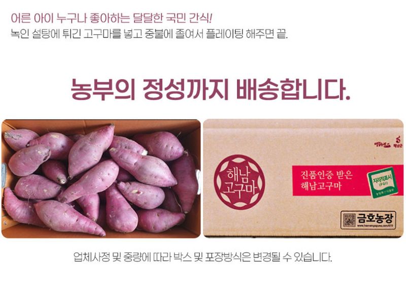 초록미소농장님의 장터 판매 상품 [초록미소 해남 GAP 세척 황토 호풍미 호박고구마 3kg 5kg 10kg] 첨부 사진