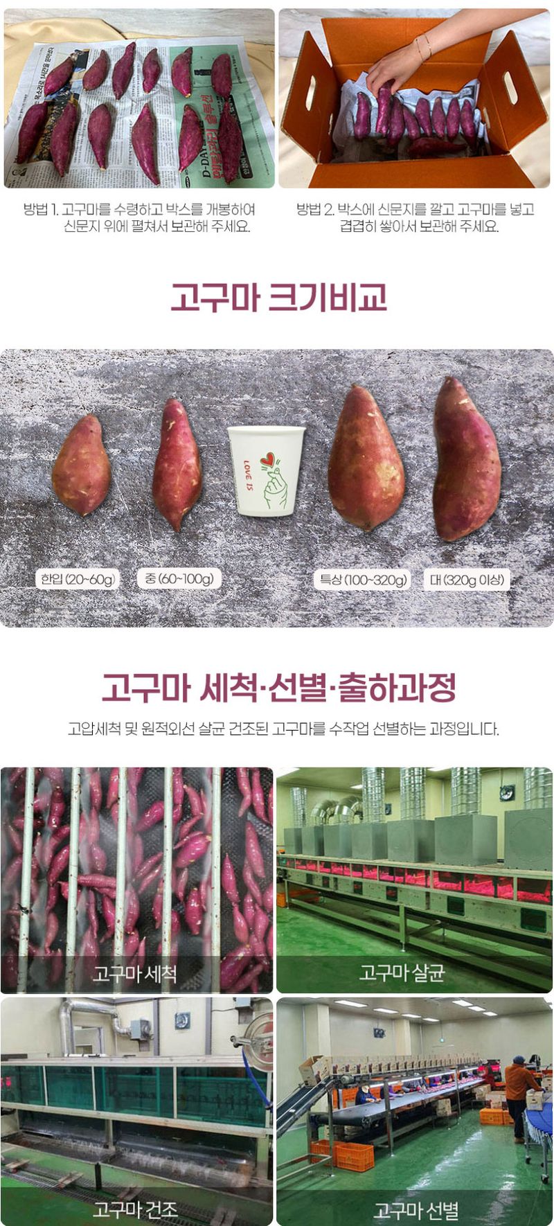 초록미소농장님의 장터 판매 상품 [초록미소 해남 GAP 세척 황토 호풍미 호박고구마 3kg 5kg 10kg] 첨부 사진