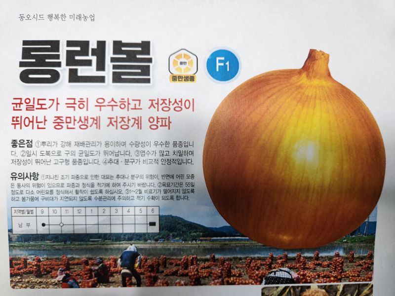안산제일농약사님의 장터 판매 상품 [롱런볼 코팅양파종자 24000립 남은수량2봉] 첨부 사진