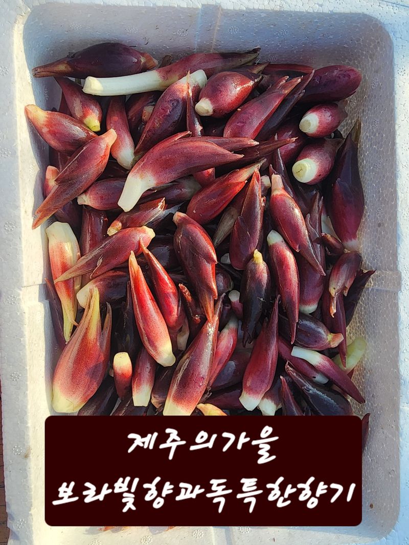 돌하루방농원(이미정님의 장터 판매 상품 [양하(양애)] 첨부 사진