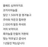 팜모닝 마늘·파종작업 게시글 이미지