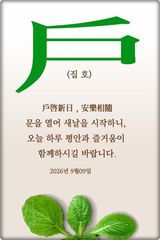 팜모닝 자유주제·자유게시판 게시글 이미지