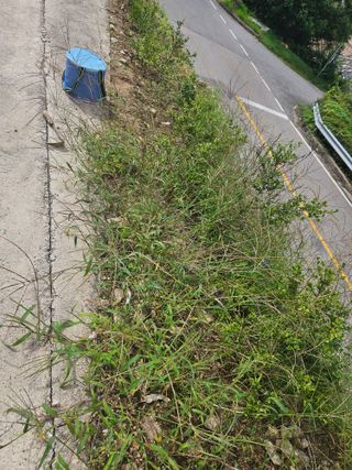 시현님의 자유주제 · 자유게시판 작성글 사진