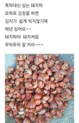 팜모닝 자유주제·자유게시판 게시글 이미지