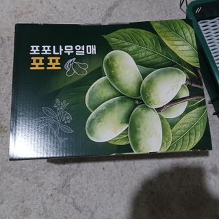 니무레골포포님의 자유주제 · 자유게시판 작성글 사진