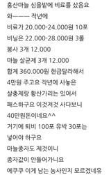 팜모닝 마늘·토양준비 게시글 이미지