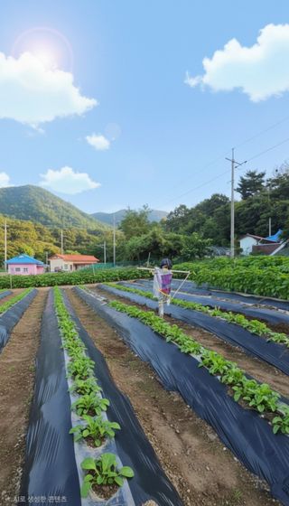 Kns4324님의 자유주제 · 자유게시판 작성글 사진