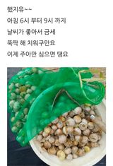 팜모닝 마늘·파종작업 게시글 이미지