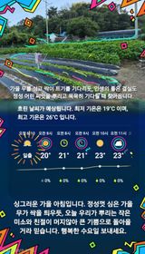 팜모닝 자유주제·자유게시판 게시글 이미지