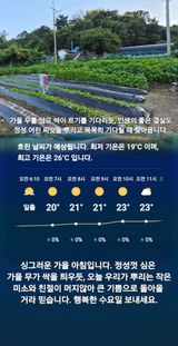 Kns4324님의 자유주제·자유게시판 작성글 사진