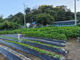 Kns4324님의 자유주제·자유게시판 작성글 사진